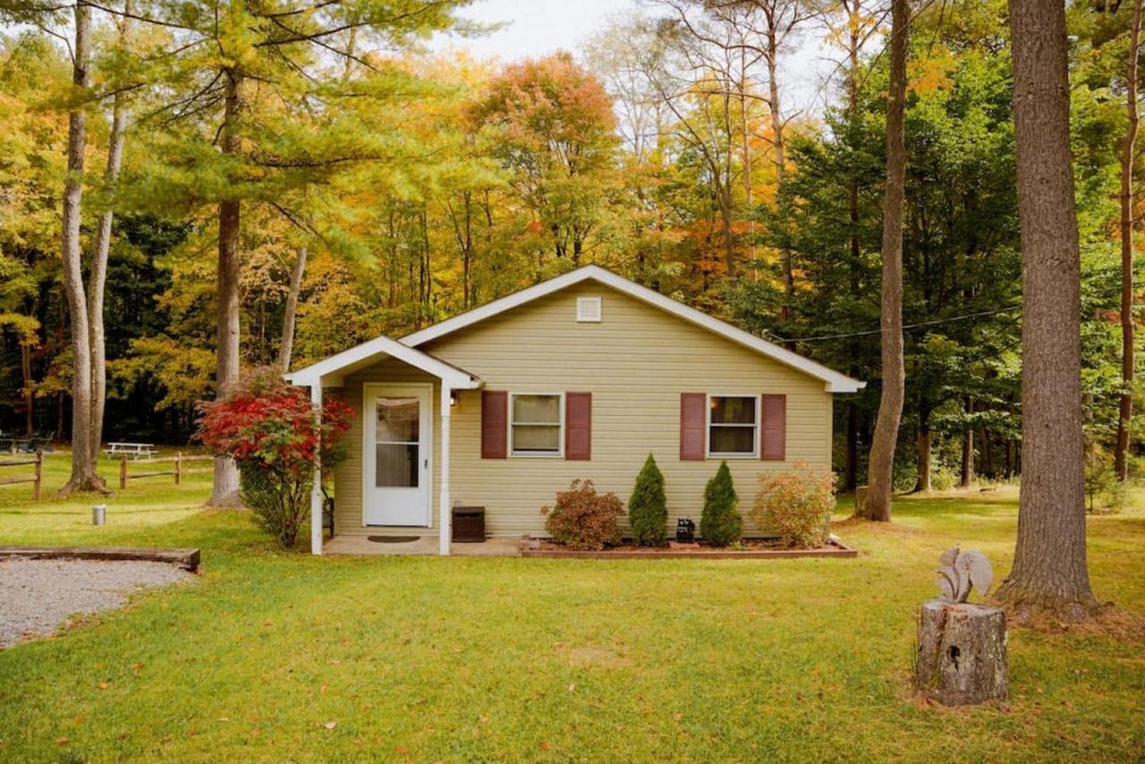 Cozy Cottage Near Cook Forest Park, Anf Marienville Exterior foto